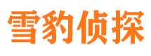 曹县市调查公司